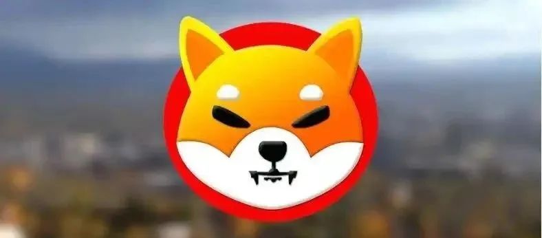 江苏邳州一男子过年相亲给女方看自己钱包有100亿个SHIB，被冷热嘲讽？！-私幕预售创业论坛-币圈区块链广场-52首码网-网上创业赚钱首码项目免费推广发布平台-首码项目网